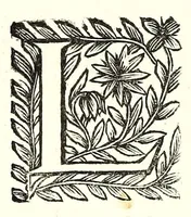 Picture 21 of 55 from La perspective pratiqve : necessaire a tovs peintres, graveurs, architectes, brodeurs, scvlpteurs, orfevres, tapissiers, et autres qui se meslent de desseigner (1663), leaf 220