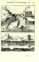 Picture 44 of 55 from La perspective pratiqve : necessaire a tovs peintres, graveurs, architectes, brodeurs, scvlpteurs, orfevres, tapissiers, et autres qui se meslent de desseigner (1663), leaf 361