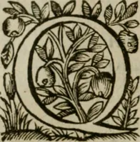 An illustration from La perspective speculative, et pratique : ou sont demonstrez les fondemens de cet art, & de tout ce qui en a esté enseigné jusqu'à present : ensemble la maniere vniverselle de la pratiquer, non seulement sans plan geometral, & sans tiers poinct, dedans ni dehors le champ du tableau : mais encores par le moyen de la ligne, communément appellée horisontale (1643)