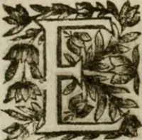 An illustration from La perspective speculative, et pratique : ou sont demonstrez les fondemens de cet art, & de tout ce qui en a esté enseigné jusqu'à present : ensemble la maniere vniverselle de la pratiquer, non seulement sans plan geometral, & sans tiers poinct, dedans ni dehors le champ du tableau : mais encores par le moyen de la ligne, communément appellée horisontale (1643)