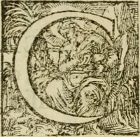 An illustration from La perspective speculative, et pratique : ou sont demonstrez les fondemens de cet art, & de tout ce qui en a esté enseigné jusqu'à present : ensemble la maniere vniverselle de la pratiquer, non seulement sans plan geometral, & sans tiers poinct, dedans ni dehors le champ du tableau : mais encores par le moyen de la ligne, communément appellée horisontale (1643)