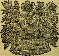 An illustration from La philosophie des gens de cour : ou l'on enseigne d'une manière aisée & naturelle ce qu'il y a de plus curieux dans la phisique, & de plus solide dans la morale pour l'usage des personnes de qualité (1683)