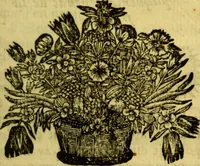 An illustration from La philosophie des gens de cour : ou l'on enseigne d'une manière aisée & naturelle ce qu'il y a de plus curieux dans la phisique, & de plus solide dans la morale pour l'usage des personnes de qualité (1683)