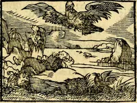 An illustration from La philosophie des images : composée d'un ample recueil de devises, & du jugement de tous les ouvrages qui ont êté faits sur cette matiere (1682)