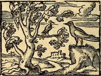 An illustration from La philosophie des images : composée d'un ample recueil de devises, & du jugement de tous les ouvrages qui ont êté faits sur cette matiere (1682)
