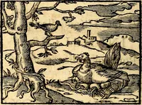 An illustration from La philosophie des images : composée d'un ample recueil de devises, & du jugement de tous les ouvrages qui ont êté faits sur cette matiere (1682)