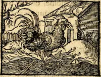 Picture 43 of 67 from La philosophie des images : composée d'un ample recueil de devises, & du jugement de tous les ouvrages qui ont êté faits sur cette matiere (1682), leaf 395