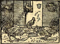 An illustration from La philosophie des images : composée d'un ample recueil de devises, & du jugement de tous les ouvrages qui ont êté faits sur cette matiere (1682)
