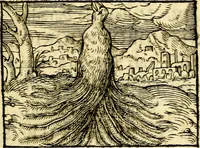 An illustration from La philosophie des images : composée d'un ample recueil de devises, & du jugement de tous les ouvrages qui ont êté faits sur cette matiere (1682)