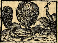 An illustration from La philosophie des images : composée d'un ample recueil de devises, & du jugement de tous les ouvrages qui ont êté faits sur cette matiere (1682)