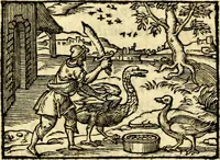Picture 48 of 67 from La philosophie des images : composée d'un ample recueil de devises, & du jugement de tous les ouvrages qui ont êté faits sur cette matiere (1682), leaf 418