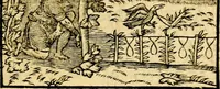 An illustration from La philosophie des images : composée d'un ample recueil de devises, & du jugement de tous les ouvrages qui ont êté faits sur cette matiere (1682)