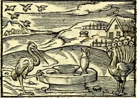 Picture 63 of 67 from La philosophie des images : composée d'un ample recueil de devises, & du jugement de tous les ouvrages qui ont êté faits sur cette matiere (1682), leaf 490