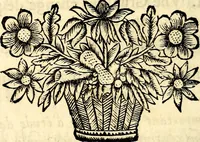 Picture 64 of 67 from La philosophie des images : composée d'un ample recueil de devises, & du jugement de tous les ouvrages qui ont êté faits sur cette matiere (1682), leaf 501