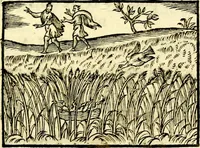 An illustration from La philosophie des images : composée d'un ample recueil de devises, & du jugement de tous les ouvrages qui ont êté faits sur cette matiere (1682)