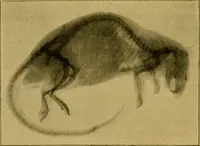 An illustration from La photographie de l'invisible : les rayons X suivi d'un glossaire (1898)