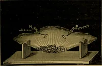 An illustration from La photographie de l'invisible : les rayons X suivi d'un glossaire (1898)