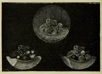 An illustration from La photographie des couleurs : suivi d'un glossaire (1900)