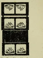 An illustration from La photographie des couleurs : suivi d'un glossaire (1900)