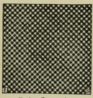 An illustration from La photographie des couleurs : suivi d'un glossaire (1900)