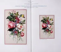 Picture 10 of 10 from La photolithographie : son origine, ses procédés, ses applications (1876), leaf 80