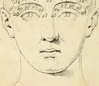 An illustration from La physiognomonie et la phrénologie ou connaissance de l'homme a'après les traits du visage et les reliefs du crane : examen critique des systèmes d'Aristote, de Porta, de La Chambre, de Camper, de Lavater, de Gall et de Spurzheim (1842)