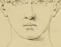 An illustration from La physiognomonie et la phrénologie, ou connaissance de l'homme d'après les traits du visage et les reliefs du crane; examen critique des systèmes d'Aristote, de Porta, de La Chambre, de Camper, de Lavater, de Gall et de Spurzheim (1842)