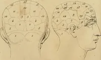 An illustration from La physiognomonie et la phrénologie, ou connaissance de l'homme d'après les traits du visage et les reliefs du crane; examen critique des systèmes d'Aristote, de Porta, de La Chambre, de Camper, de Lavater, de Gall et de Spurzheim (1842)