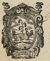 An illustration from La piazza vniuersale di tutte le professioni del mondo (1601)
