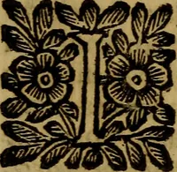 An illustration from La pittura in giudicio, ouero, Il bene delle oneste pitture e'l male delle oscene (1697)