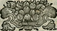 An illustration from La pittura in Parnaso : opera (1725)