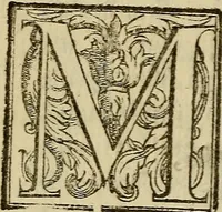 An illustration from La pittvra trionfante (1615)