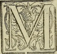 An illustration from La pittvra trionfante (1615)