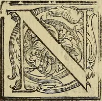 An illustration from La pittvra trionfante (1615)