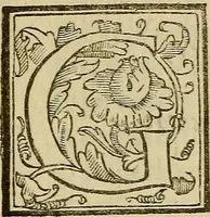 An illustration from La pittvra trionfante (1615)