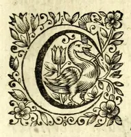 An illustration from La pratique du caualier, ou, L'exercice de monter a cheual : qui enseigne la methode de reduire les cheuaux dans l'obeissance des plus beaux airs & maneiges (1650)