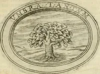 An illustration from La prima parte dell'imprese di Scipion Bargagli : doue, doppo tutte l'opere cosi a penna, come a stampa, ch'egli ha potuto vedere di coloro, che della materia dell'imprese hanno parlato, della vera natura di quelle si ragiona (1578)