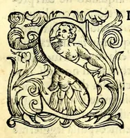 Picture 13 of 13 from La prima parte dell'imprese di Scipion Bargagli : dove, doppo tutte l'opere cosi a penna, come a stampa, ch' egli ha potuto vedere di coloro, che della materia dell'imprese hanno parlato, della vera natura di quelle si ragiona (1589), leaf 117