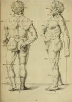 An illustration from La prima-[quinta] parte della luce del dipingere et disegnare, ... (1643)