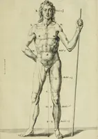 An illustration from La prima-[quinta] parte della luce del dipingere et disegnare, ... (1643)