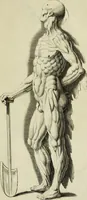 An illustration from La prima-[quinta] parte della luce del dipingere et disegnare, ... (1643)