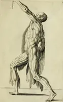 An illustration from La prima-[quinta] parte della luce del dipingere et disegnare, ... (1643)