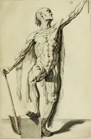 An illustration from La prima-[quinta] parte della luce del dipingere et disegnare, ... (1643)