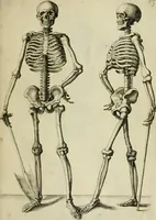 An illustration from La prima-[quinta] parte della luce del dipingere et disegnare, ... (1643)