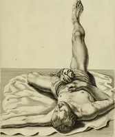 An illustration from La prima-[quinta] parte della luce del dipingere et disegnare, ... (1643)