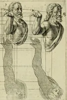 An illustration from La prima-[quinta] parte della luce del dipingere et disegnare, ... (1643)