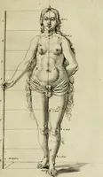 An illustration from La prima-[quinta] parte della luce del dipingere et disegnare, ... (1643)