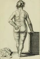 An illustration from La prima-[quinta] parte della luce del dipingere et disegnare, ... (1643)