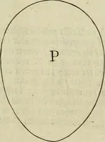 Picture 16 of 311 from La prima-[quinta] parte della luce del dipingere et disegnare, ... (1643), leaf 26