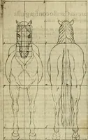 An illustration from La prima-[quinta] parte della luce del dipingere et disegnare, ... (1643)